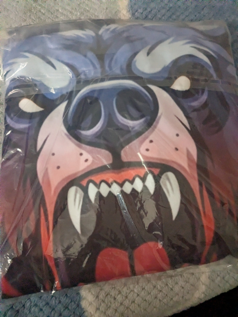 BEARSKIFILM Hoodie